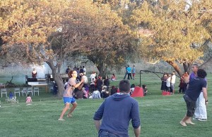 Braai day rugby edit